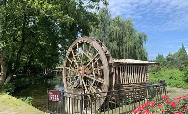 成都市·温江区·天香玫瑰緣团建基地